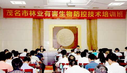 ���Ӵ󞳅^�֘I�к�������Ό�헌W������Ӗ